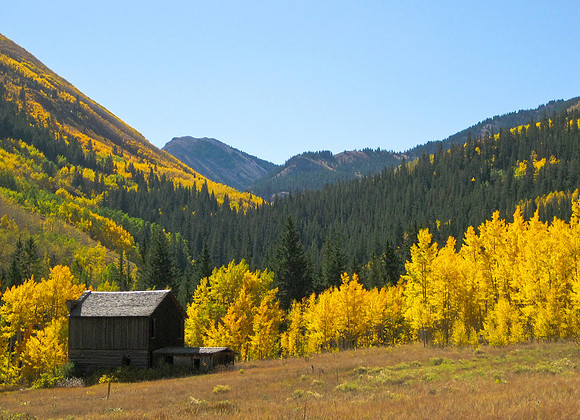 Aspen