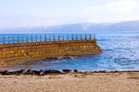 Children's Pool La Jolla