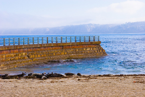 Children's Pool La Jolla