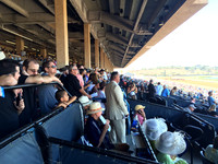 Del Mar Race Track