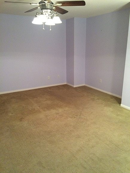 Floor & Paint Remodel