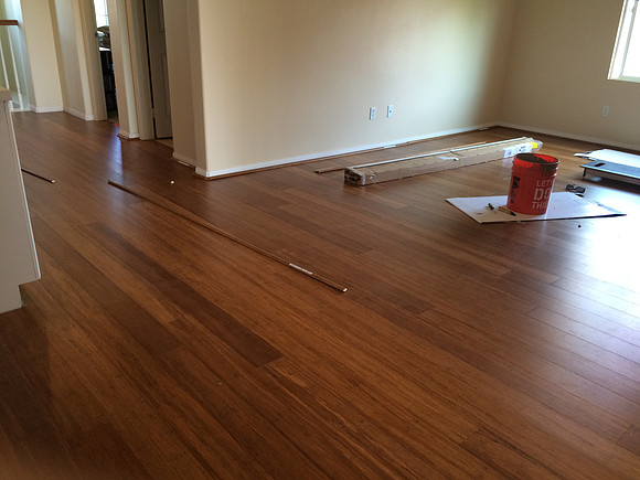 Floor & Paint Remodel