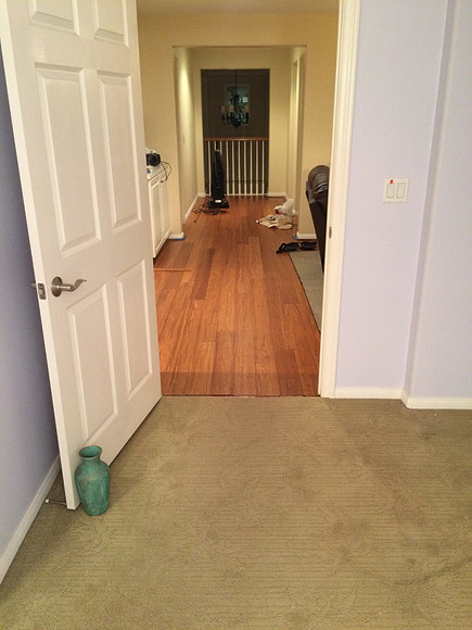 Floor & Paint Remodel