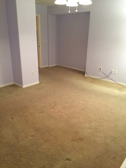 Floor & Paint Remodel