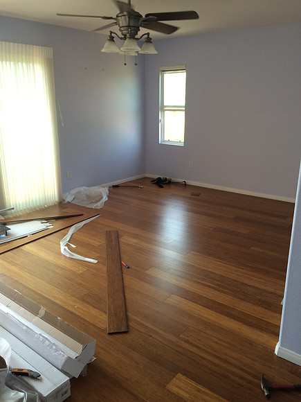 Floor & Paint Remodel