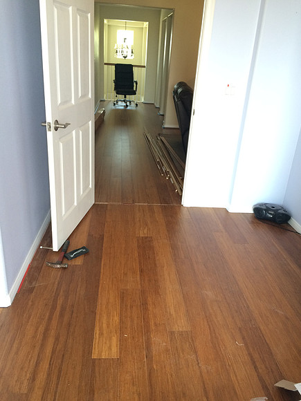 Floor & Paint Remodel
