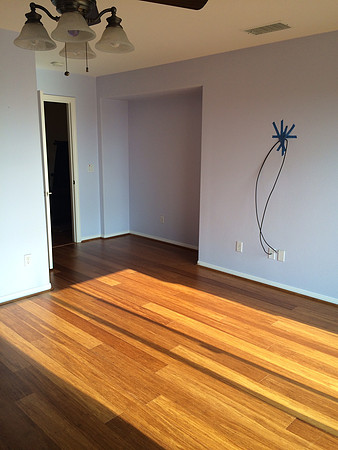 Floor & Paint Remodel