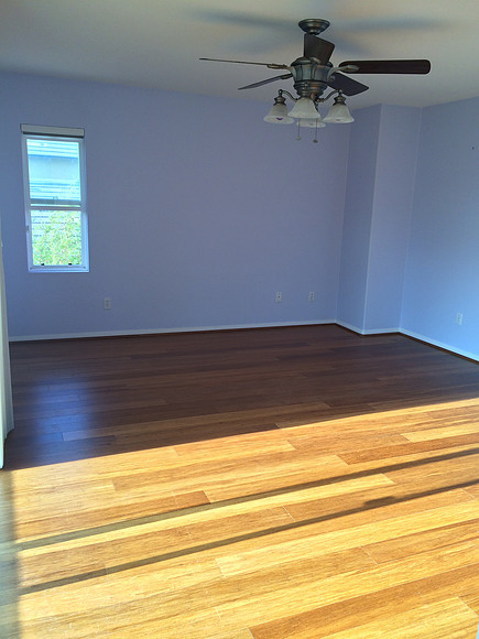 Floor & Paint Remodel
