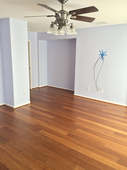 Floor & Paint Remodel