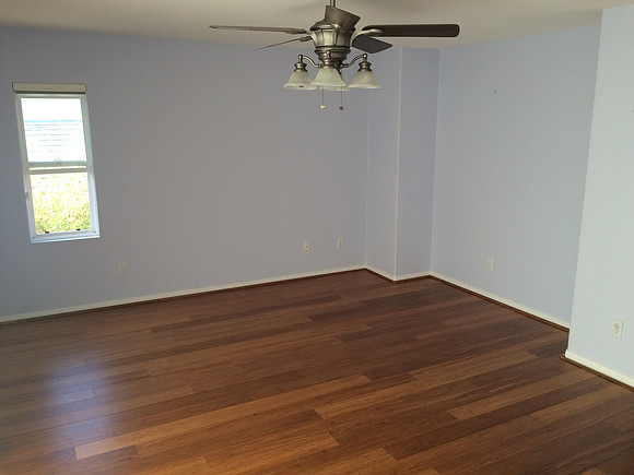 Floor & Paint Remodel