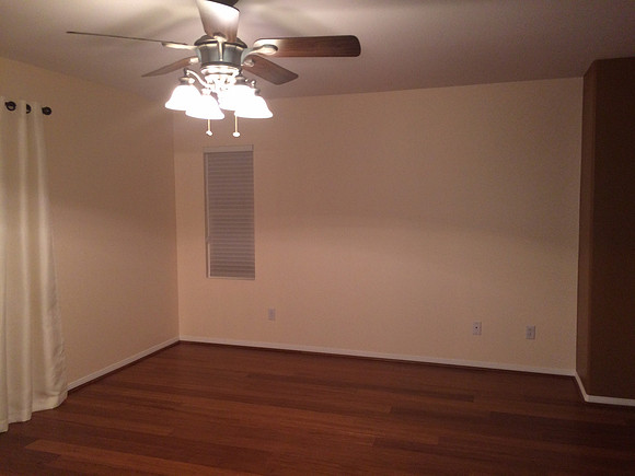 Floor & Paint Remodel