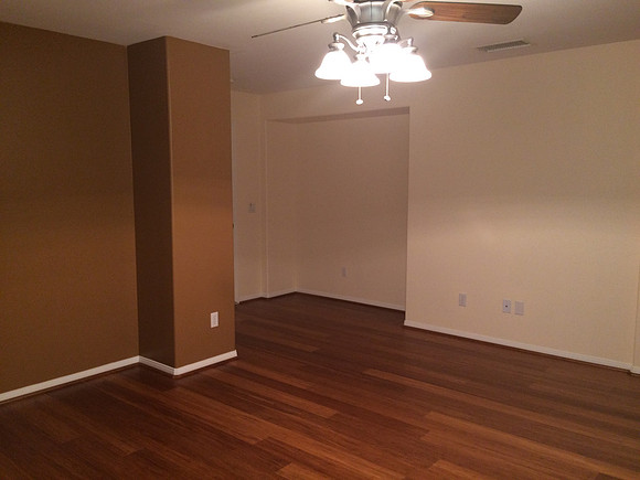 Floor & Paint Remodel