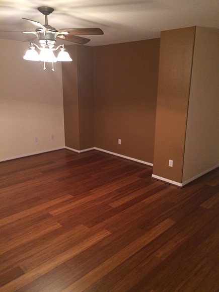 Floor & Paint Remodel
