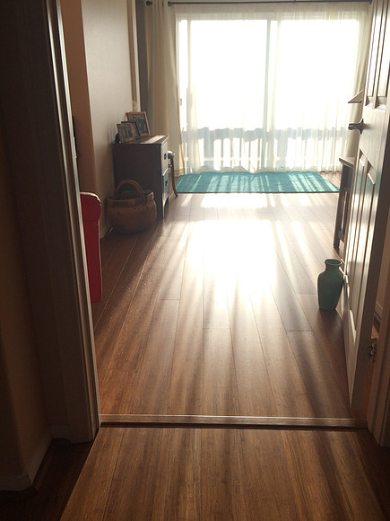 Floor & Paint Remodel