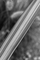 Explore - Black & White Fine Art Wall Art