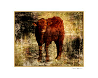 Explore - Matted Art Wall Art