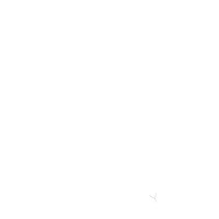 Bug Logo Vector White